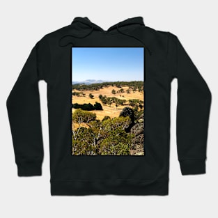 View From The Top Hoodie